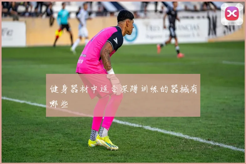 健身器材中适合深蹲训练的器械有哪些