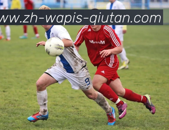 球探体育服务体系